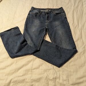 Buffalo Mid- Rise Misha Straight Leg womens Jeans . size 12 / inseam 30.